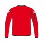 Ziccer Dinamo szivacsos kapusmez STANDARD DESIGN (0603)