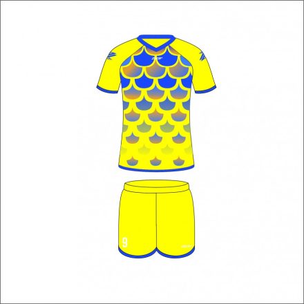 Ziccer Dragon Woman rövidujjú szett (mez+nadrág) STANDARD DESIGN - Sárga-kék/sárga (0408)