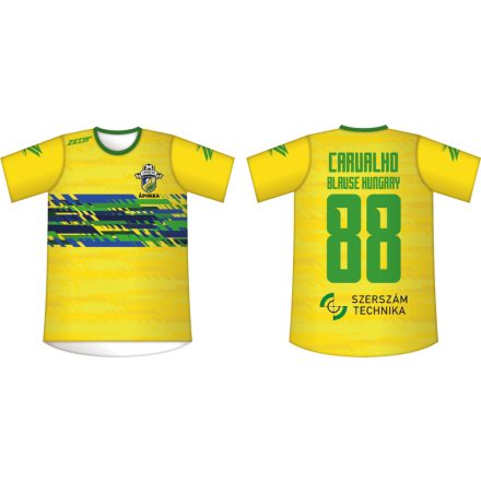 Carvalho Brazil Labdarugó Akadémia Hazai mez