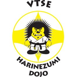 VTSE KARATE