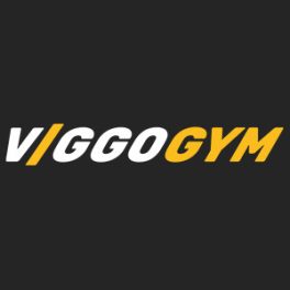 VIGGO TEAM